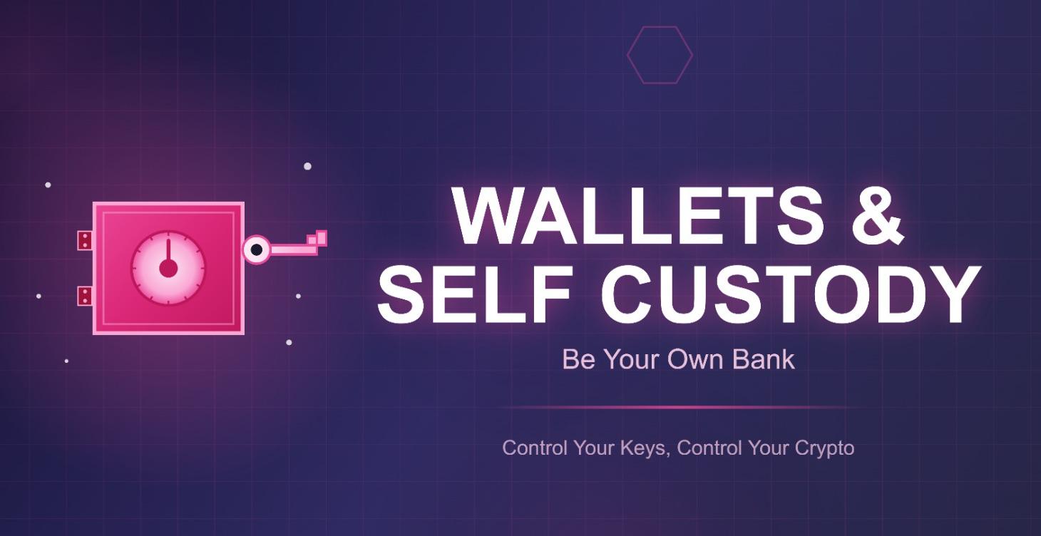 Wallets & Self Custody
