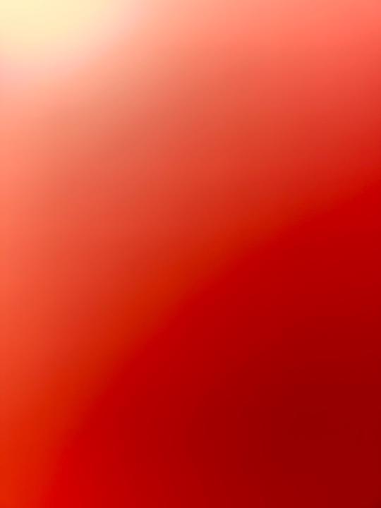 Valeria Guzman Salcedo