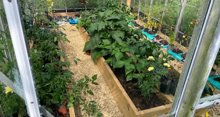 The Practical Garden