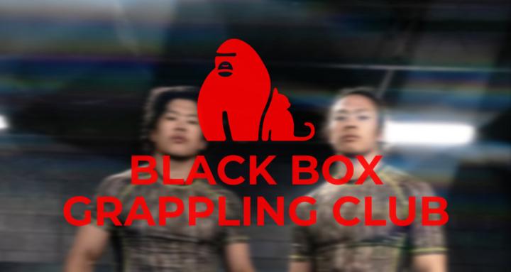 Black Box Online