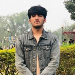 Muhammad Ehtasham Ali