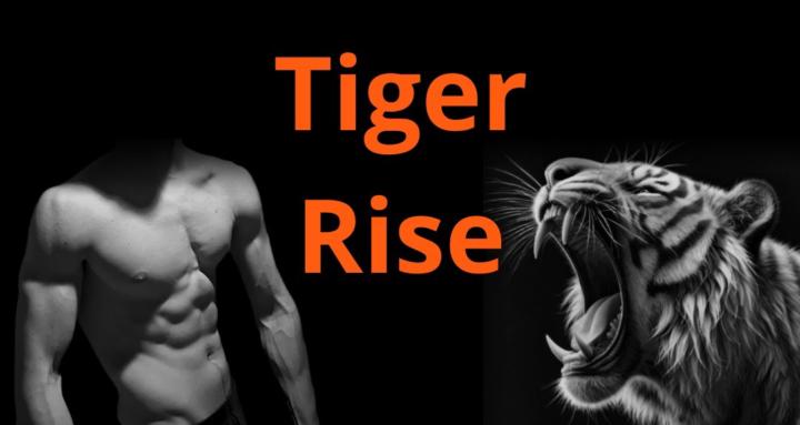 Tiger Rise