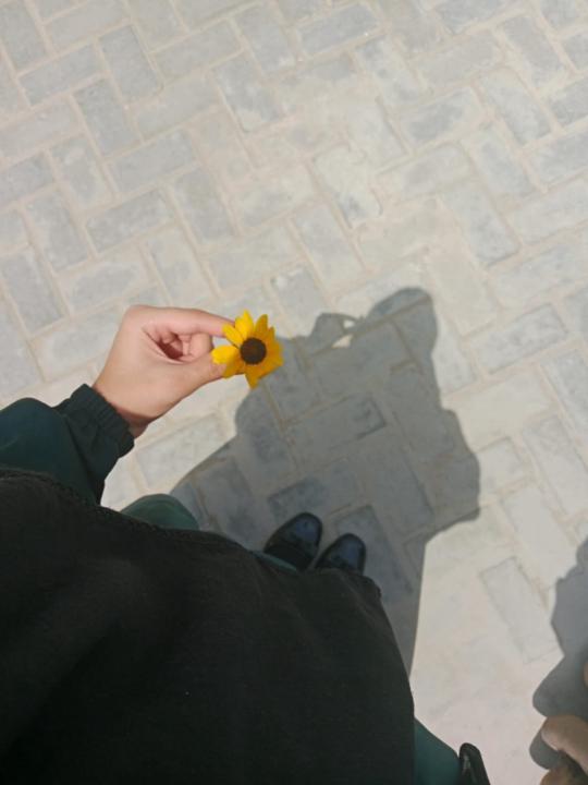 Shanza Bakhtawar