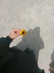 Shanza Bakhtawar