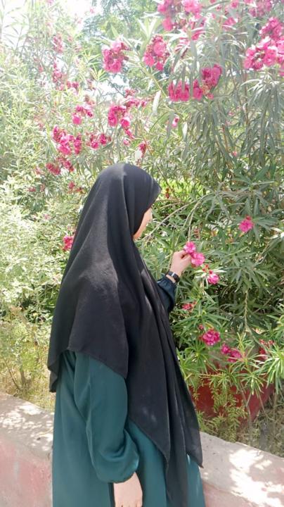 Shanza Bakhtawar