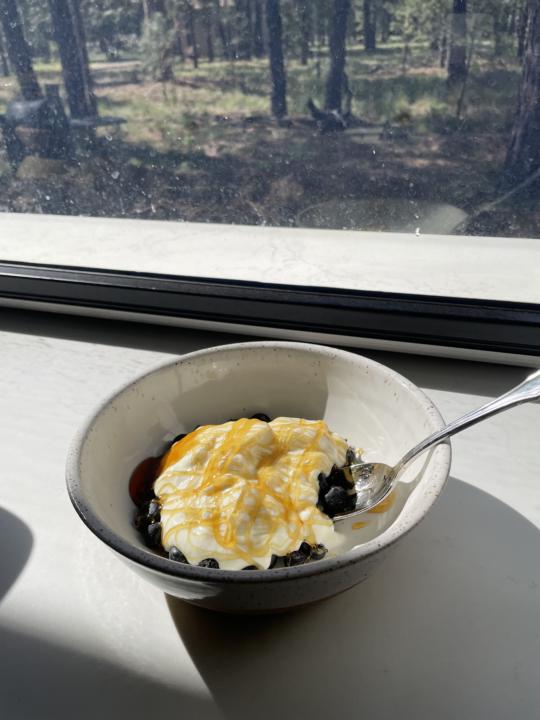 Yogurt + blueberries and honey 