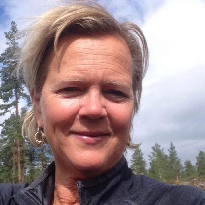 Vigdis Bollerud
