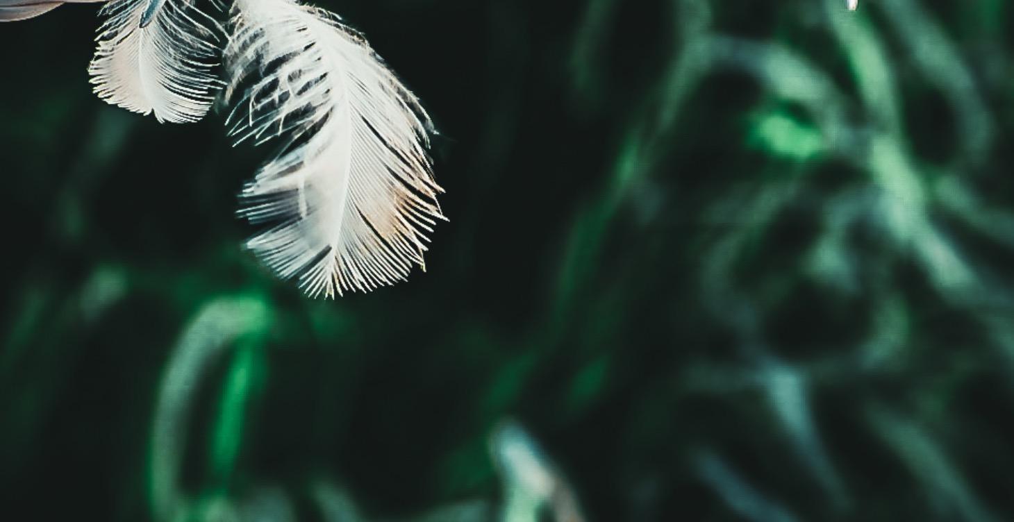 Narcisme vs codependentie (wie is wie)