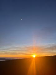 Dawn Rego
