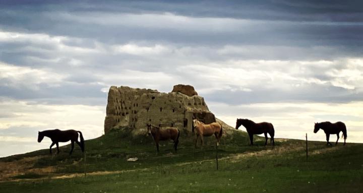 Conexión Equibalance