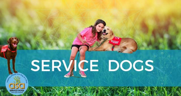 ASA Service Dogs Charity