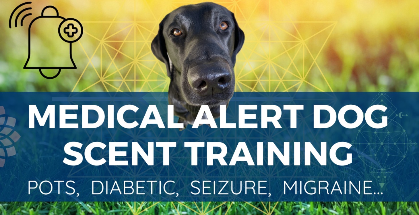 Medical Alert Dog Scent Training Course