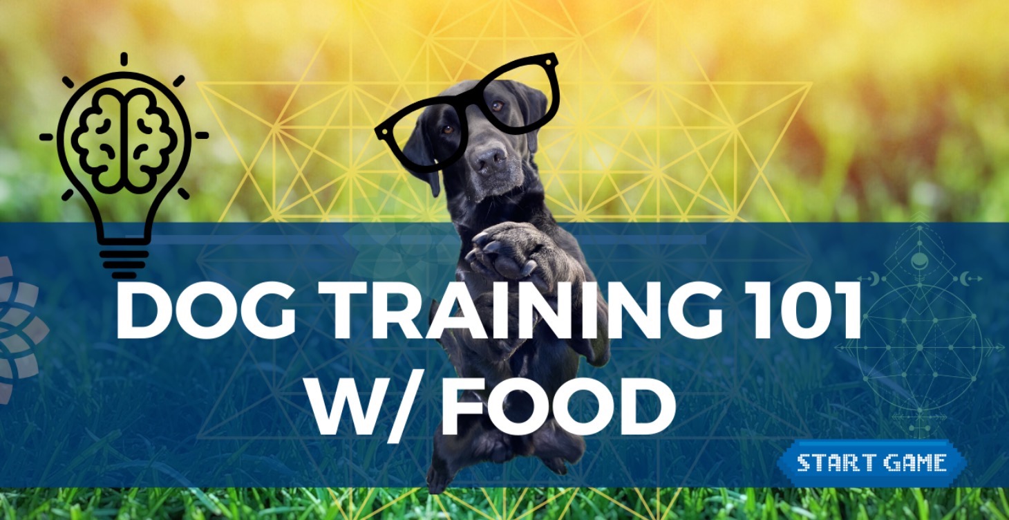 BASIC TRAINING 101 - W/ FOOD