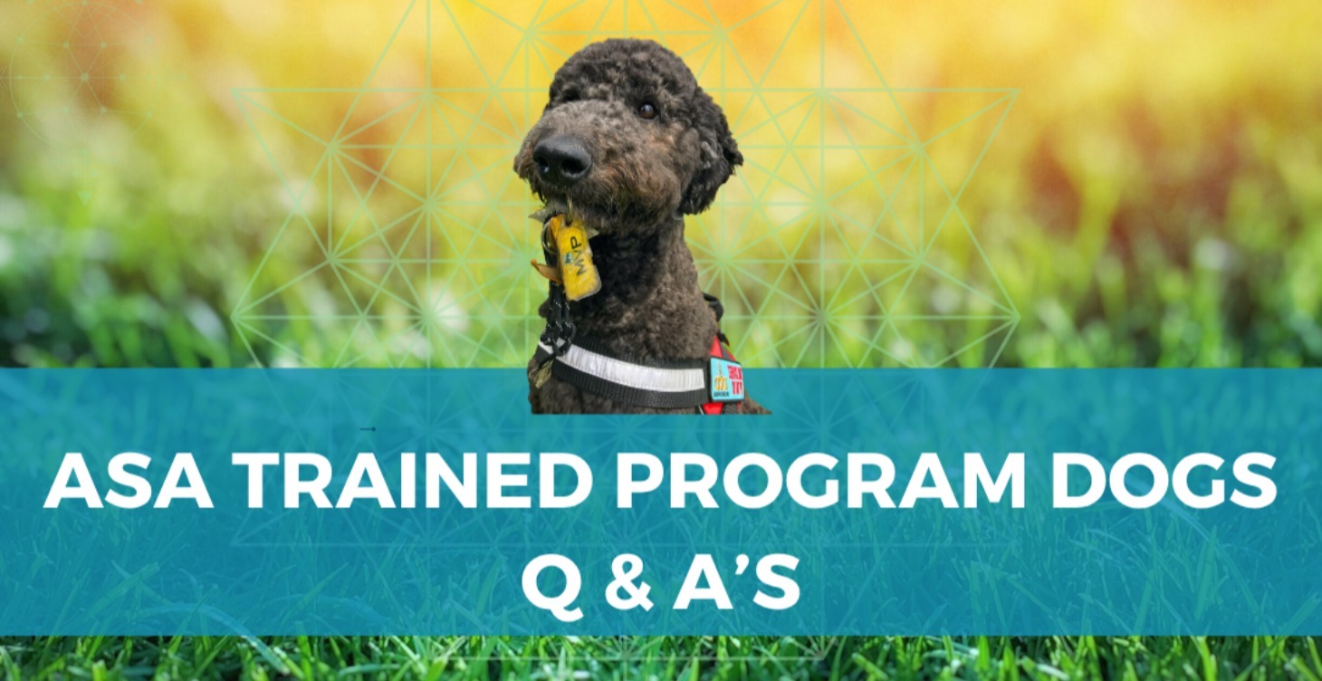 ASA Trained Service Dogs -Q&A