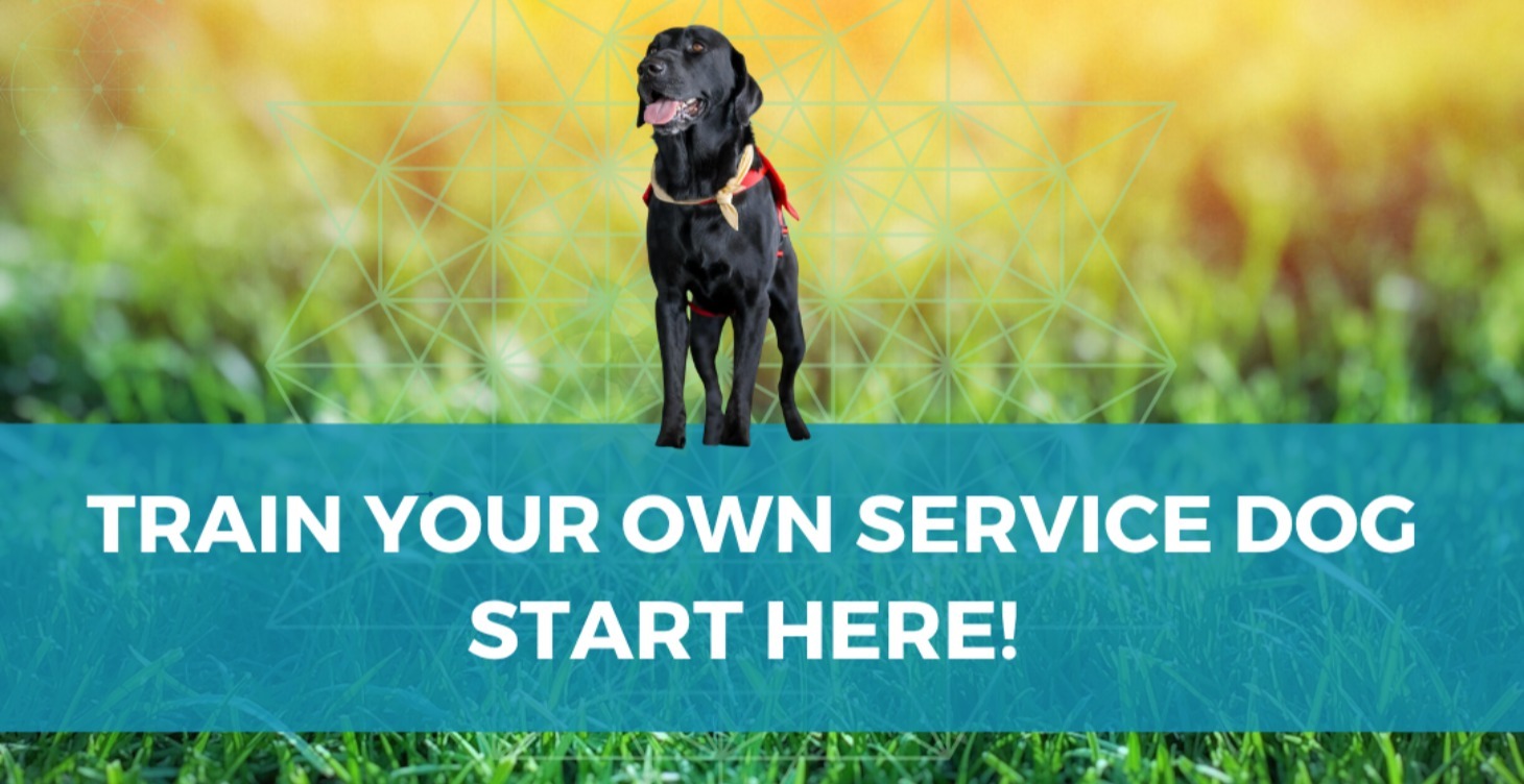 Training Your Own Service Dog?