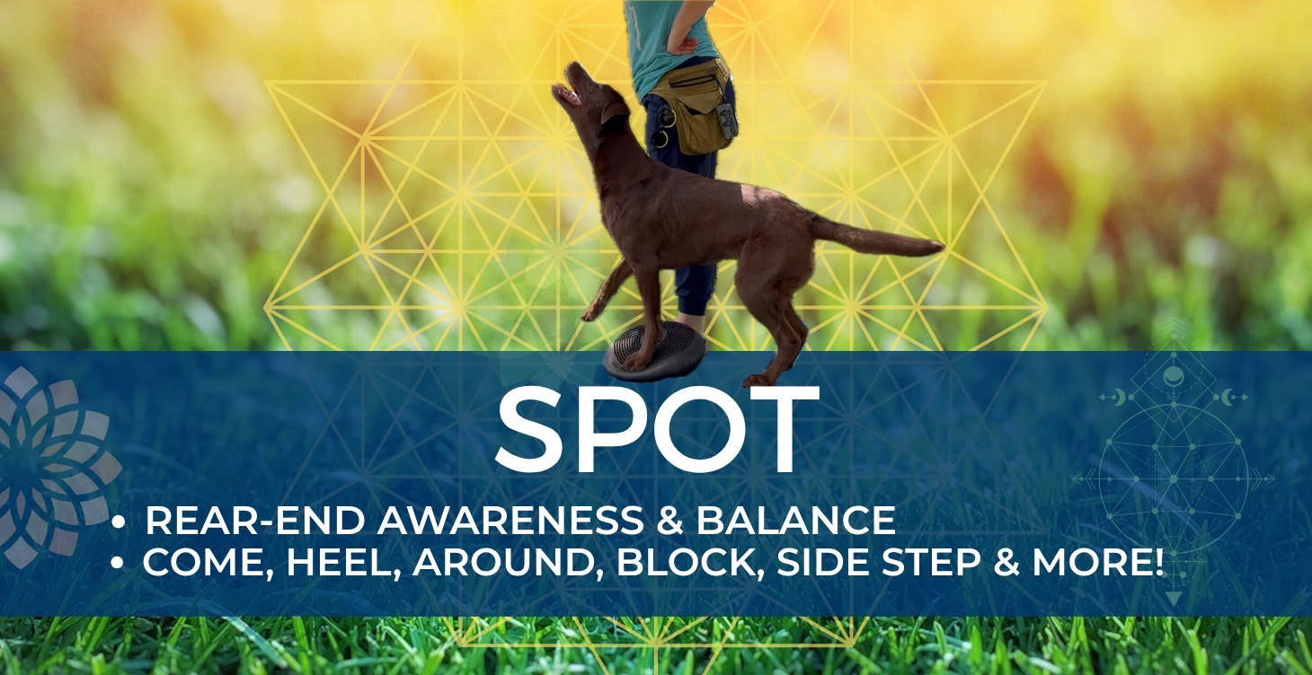 "SPOT"