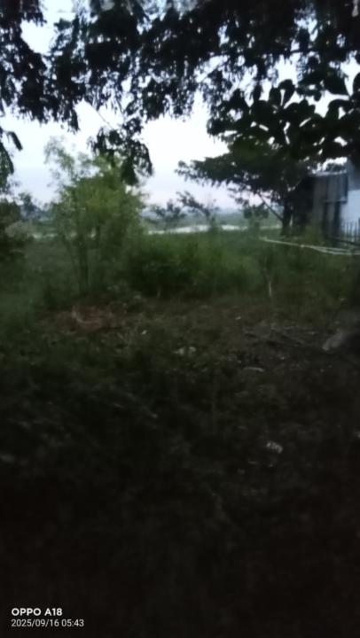Ko Htun Lin