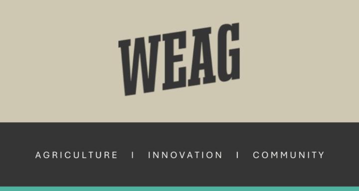 WEAG Innovation International