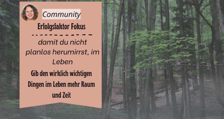 Erfolgsfaktor Fokus
