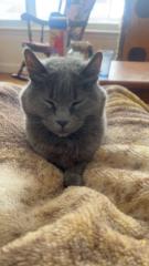 Annabelle Bégin Bouchard