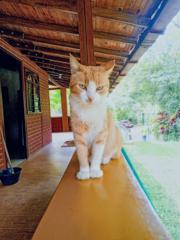 Keren Lizeth Salazar Muñoz