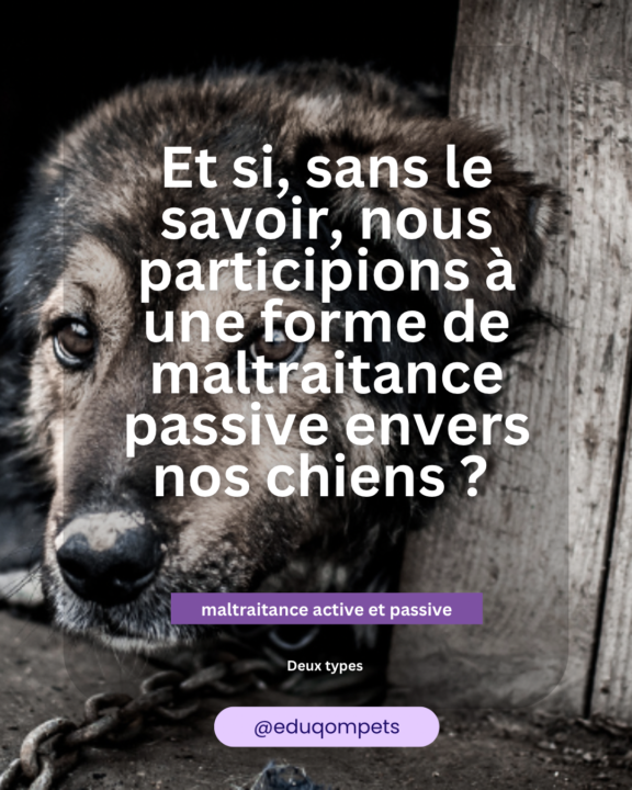 Besoin de votre avis  s’il vous plaît 