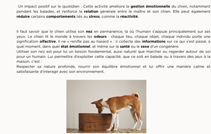 J’aimerais votre avis sur ma légende pour un poste promotionnel