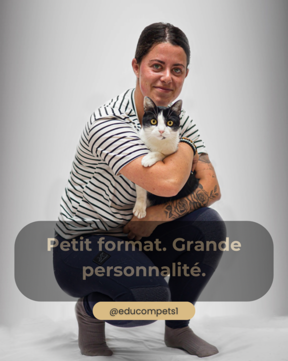 Votre avis sur la présentation de mes associé poilus pour chaque animal une carte d’identité 🥰🤣