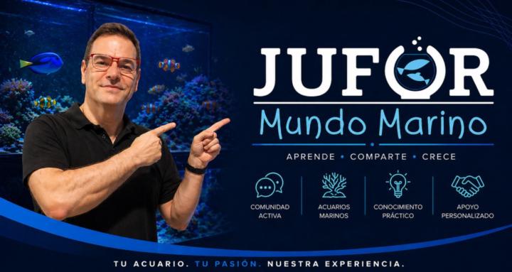 Jufor Mundo Marino