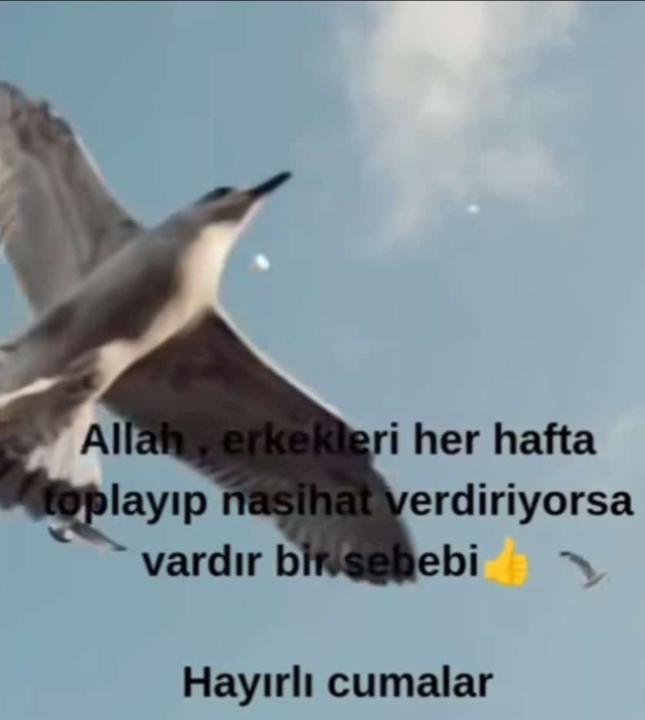 Kevser Yildirim
