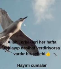Kevser Yildirim