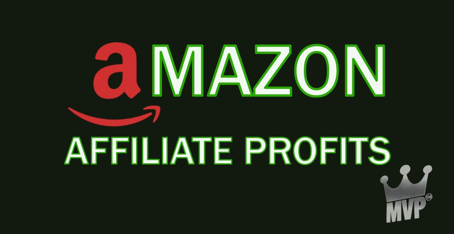 Amazon Affiliate Profits