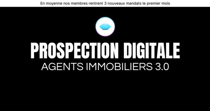 Agents immobiliers 3.0