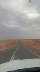 يوسف العوني