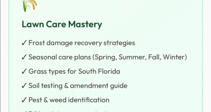 Joel’s Lawn recovery guide