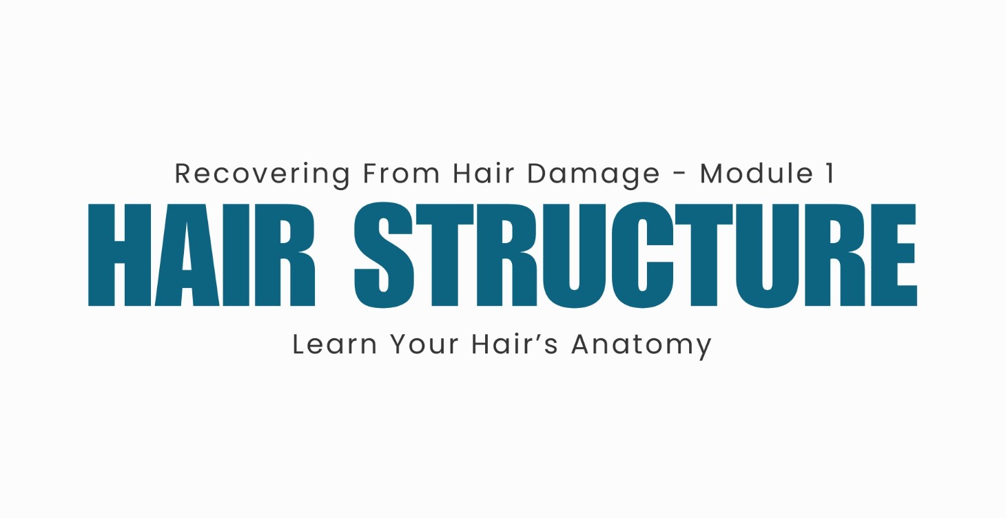 Module 1 - Hair Structure, Your Hair's Anatomy