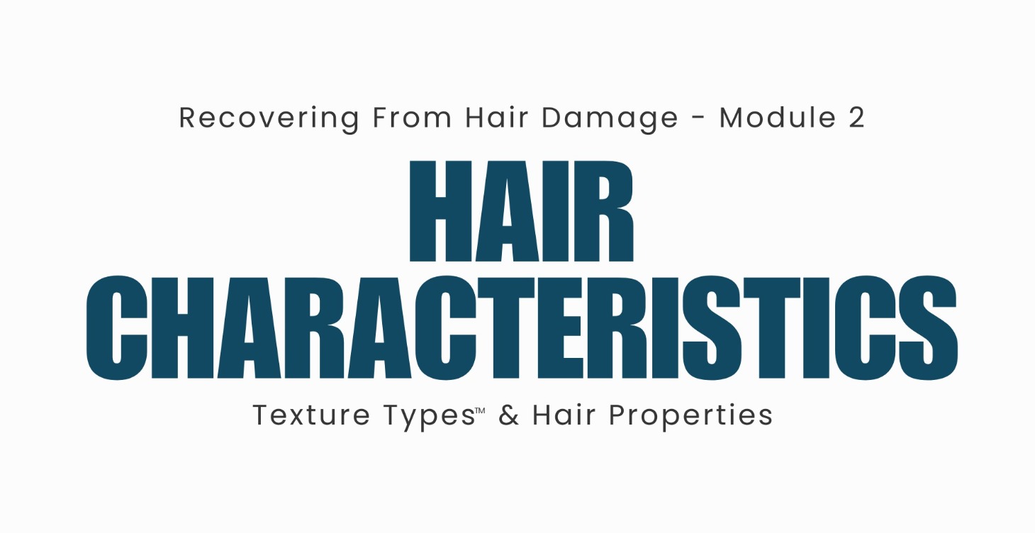 Module 2 - Texture Type & Hair Properties
