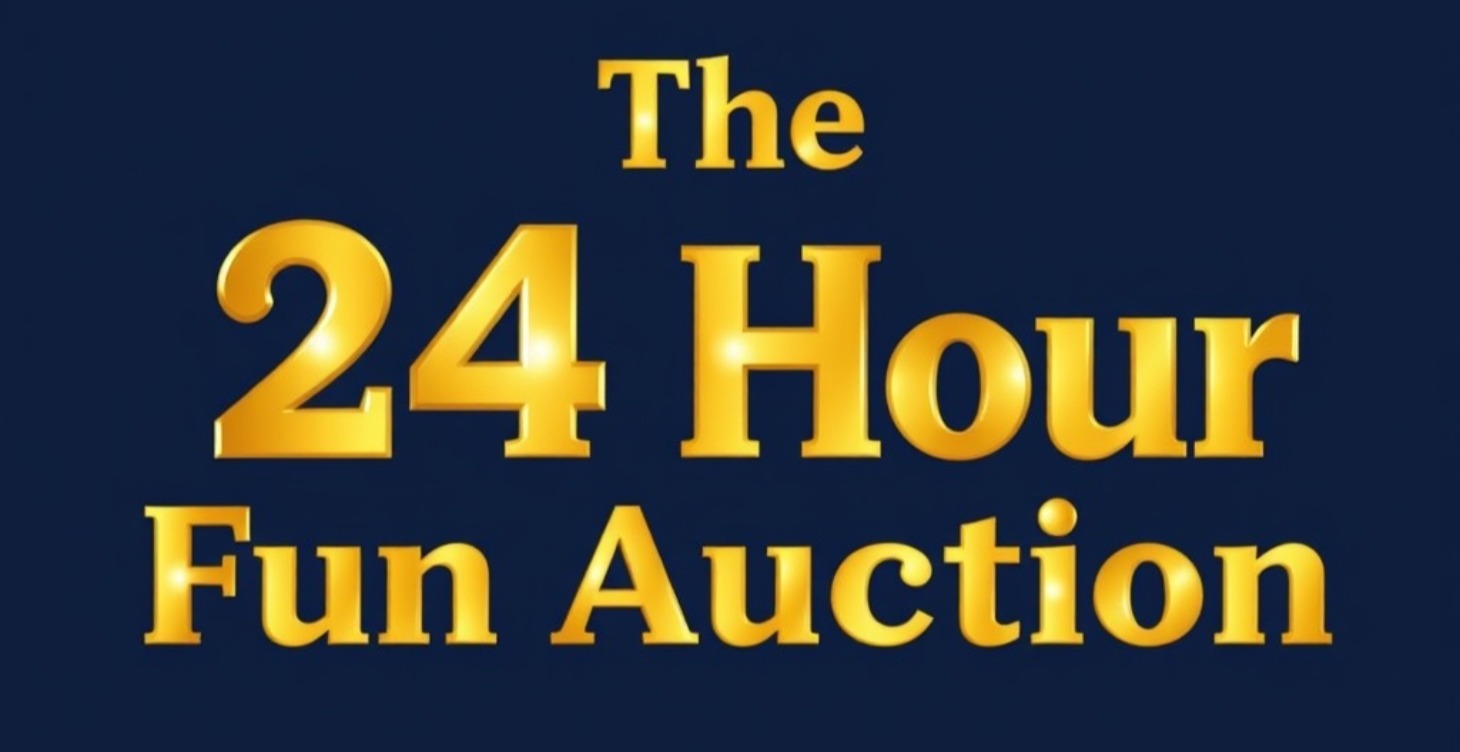The 24 Hour Fun Auction