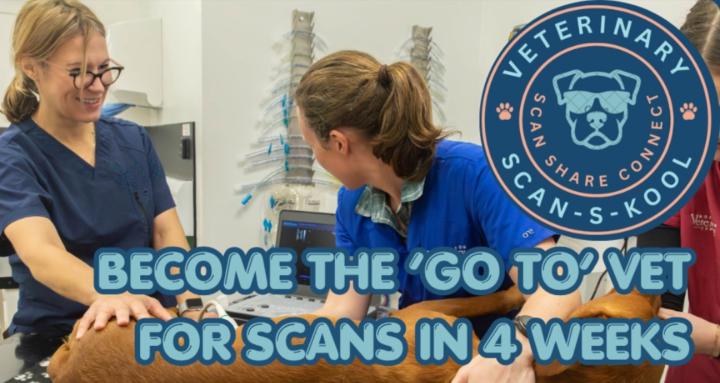 Veterinary Scan - S - Kool