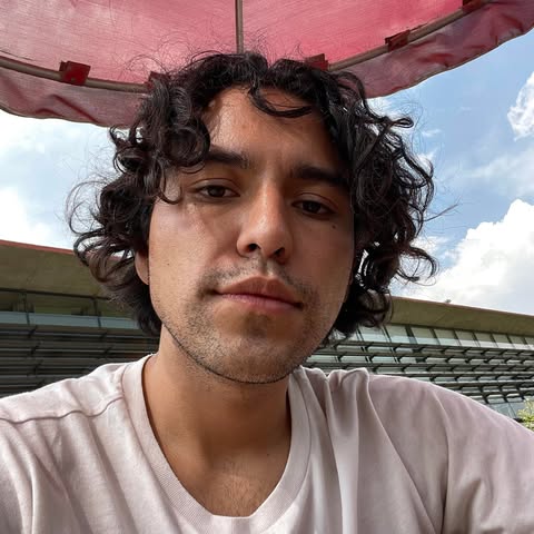 David Bastida Gómez