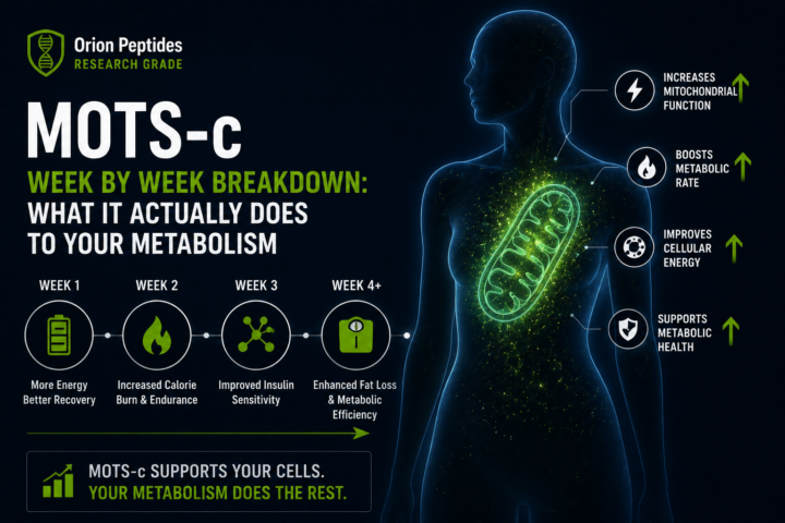MOTS-c Week By Week Breakdown: What It Actually Does To Your Metabolism