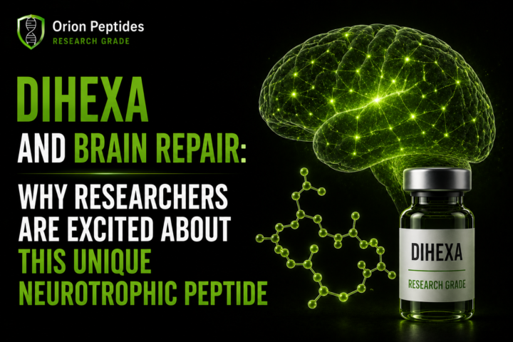 Dihexa and Brain Repair: Why Researchers Are Excited About This Unique Neurotrophic Peptide