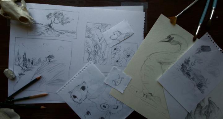 Fast Sketch Artists