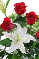 Brinda Devi Purmessur