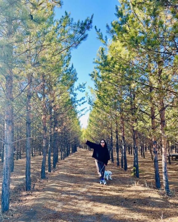 Lkhagvabayar Nyamsuren