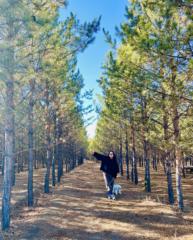 Lkhagvabayar Nyamsuren