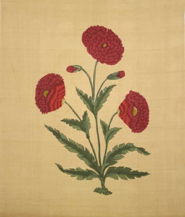 Khorshid Shekarie Aureh