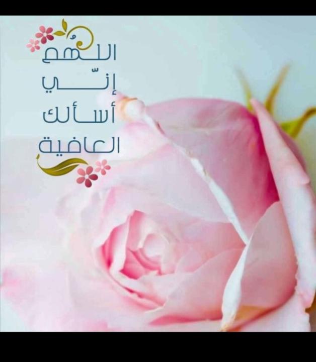 تغريد المبرك