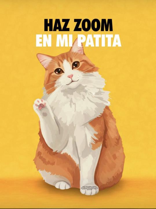 ¡Excelente día compañeros! 