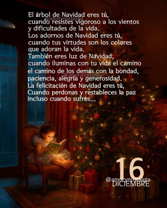 El Arbol de Navidad!!!